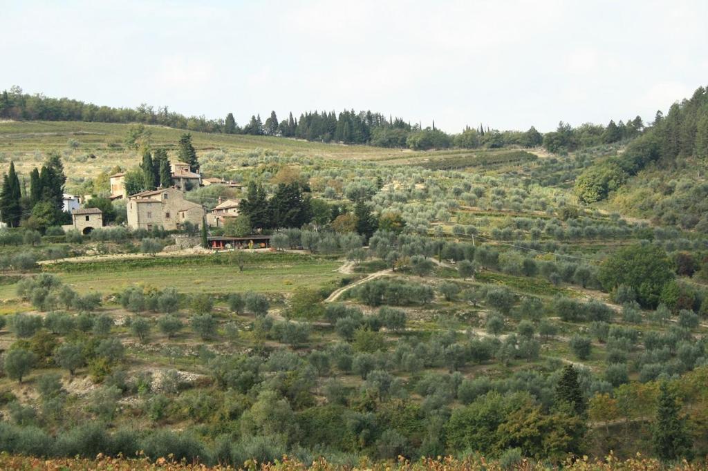 Agriturismo Podere Somigli Di Lorenzo Correani Hotel Greve in Chianti Exterior foto